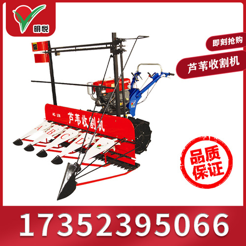 芦苇割晒机 一边倒