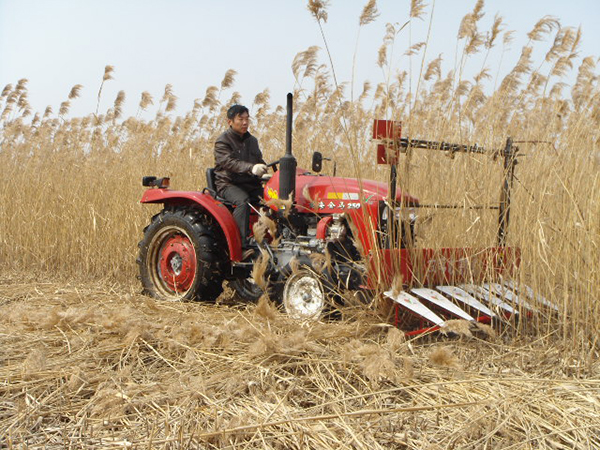 小型芦苇收割机