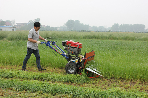 明悦4G120-牧草收割机