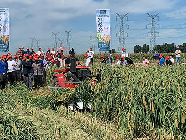 明悦4G120-谷子收割机